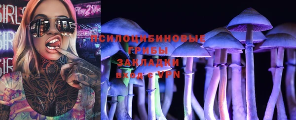круглые Алексеевка