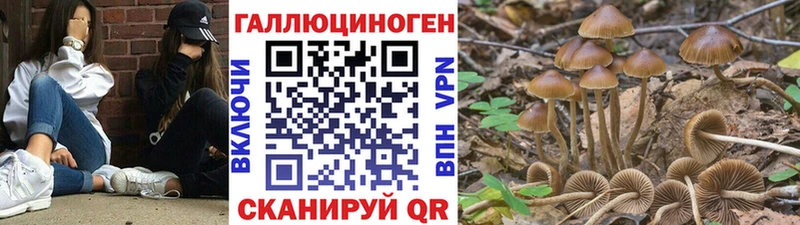 сайты даркнета наркотические препараты Керчь Псилоцибиновые грибы MAGIC MUSHROOMS где купить наркоту